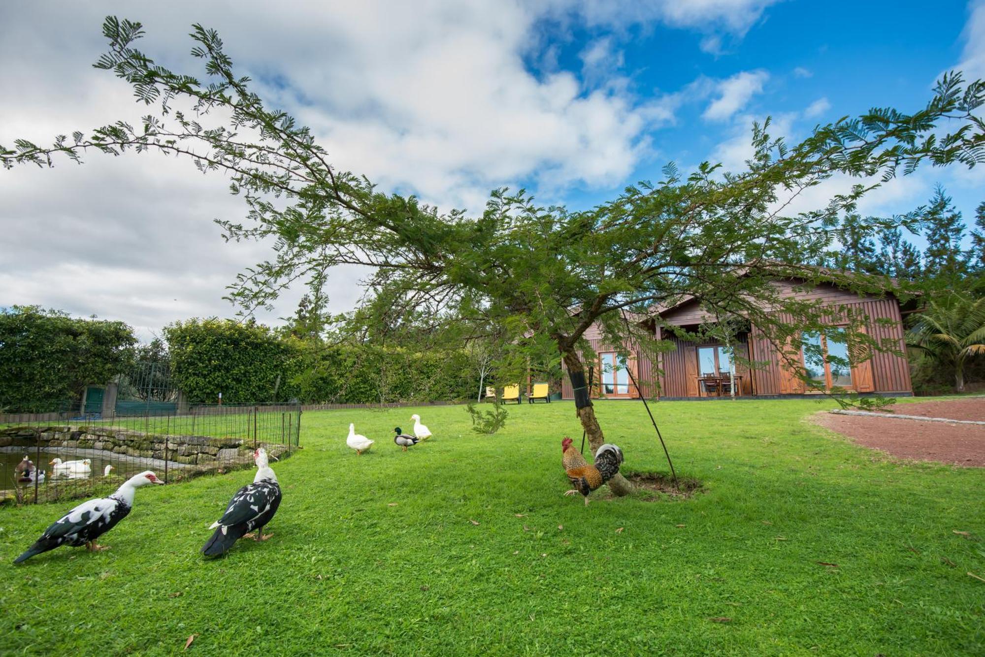 Quinta Dos Curubas Villa Vila Franca do Campo Dış mekan fotoğraf