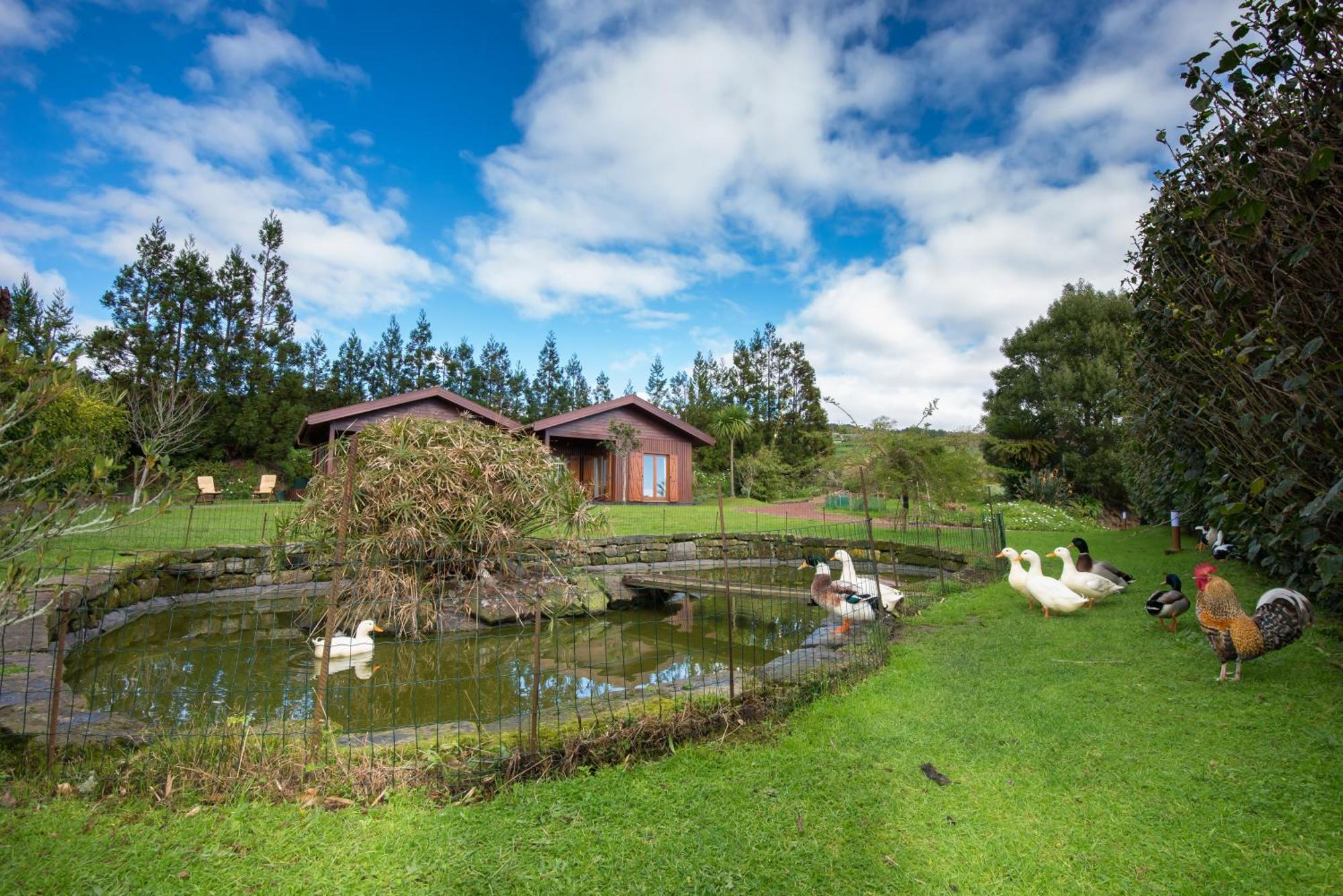 Quinta Dos Curubas Villa Vila Franca do Campo Dış mekan fotoğraf